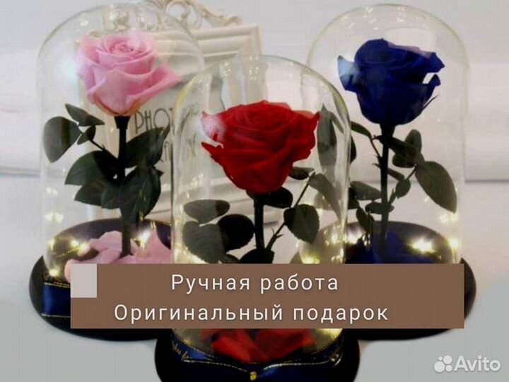 Роза в колбе