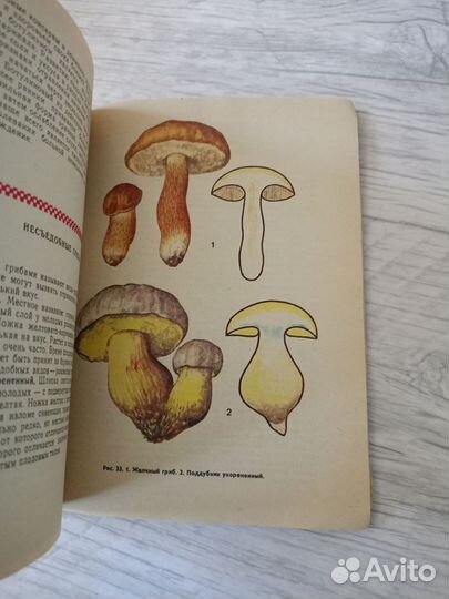 Книга грибы