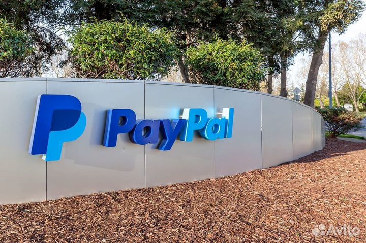 Оплата paypal