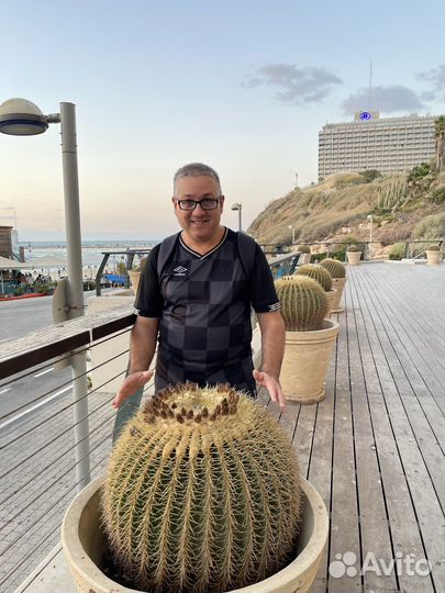 On-line репетитор по физике. Новый набор учеников