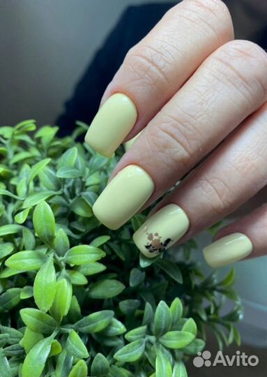 Мастер маникюра и педикюра