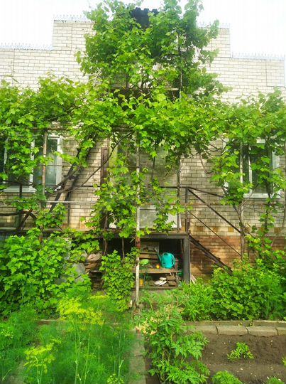 Дом 160,8 м² на участке 6 сот.