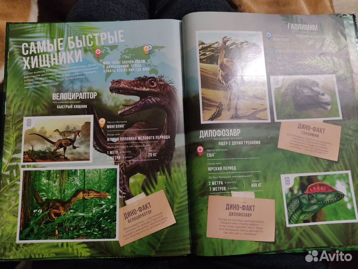 Книга Динозавры