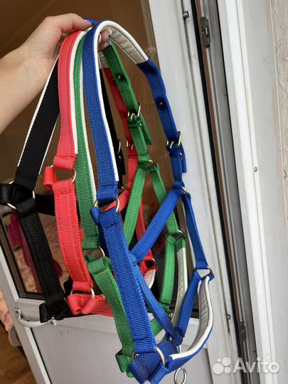 Недоуздок для лошади и пони