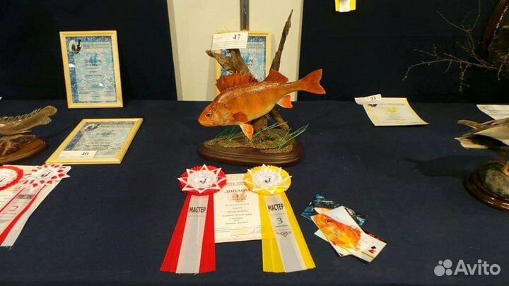 Трофеи из рыб любых видов и размеров