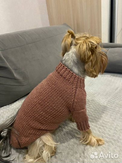 Продам вязаный комбинезон для собаки