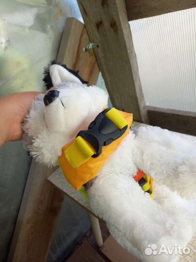 Плавательный жилет для собак