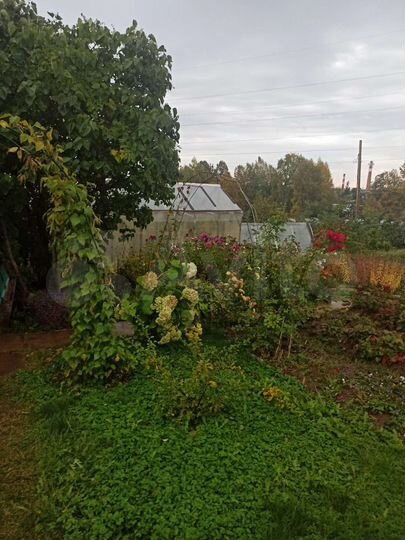 Дача 15 м² на участке 6 сот.