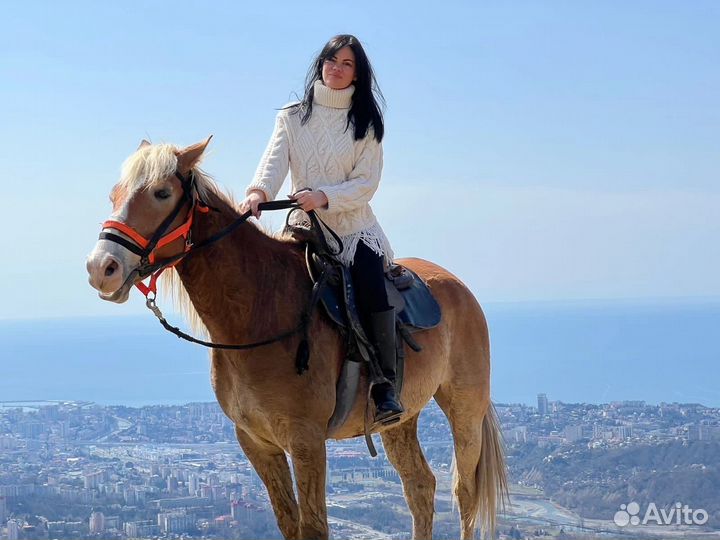 Конные прогулки с трансфером