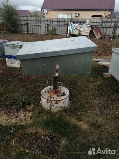 Воскотопка солнечная