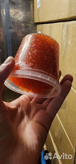 Карельская икра