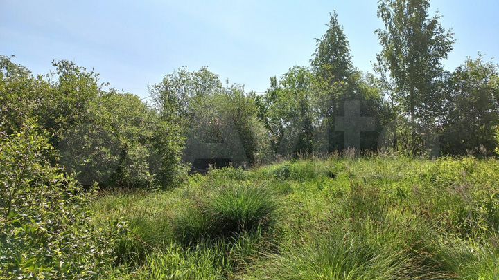 Участок 15 сот. (ИЖС)