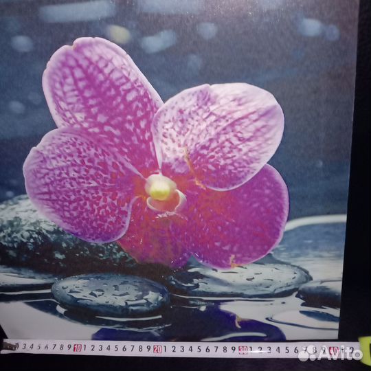 Картины и постеры