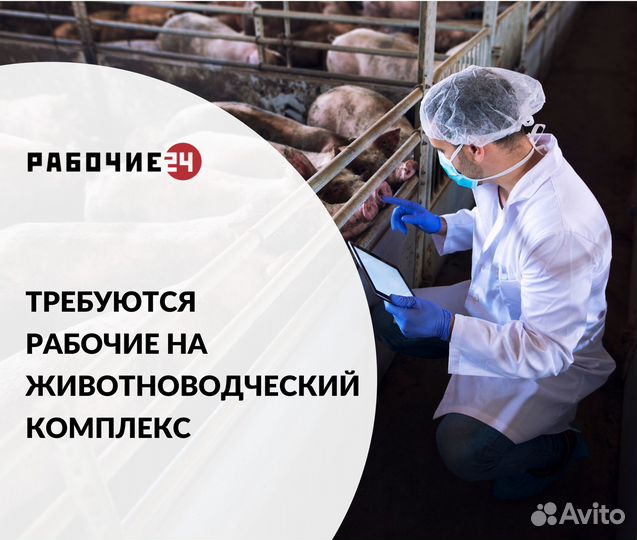 Разнорабочие