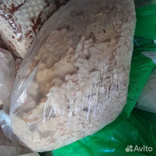 Корм для животных