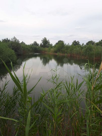 Участок 12 га (СНТ, ДНП)