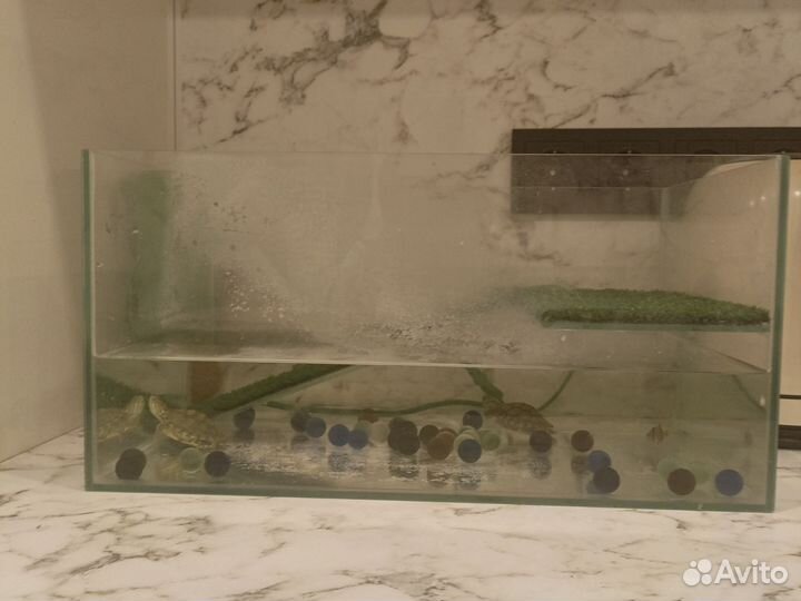 Аквариум 20 литров с выходом на сушу