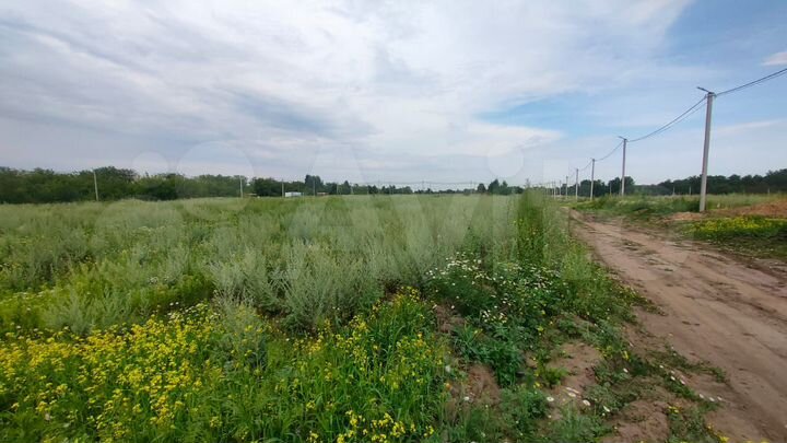 Участок 8,1 сот. (СНТ, ДНП)