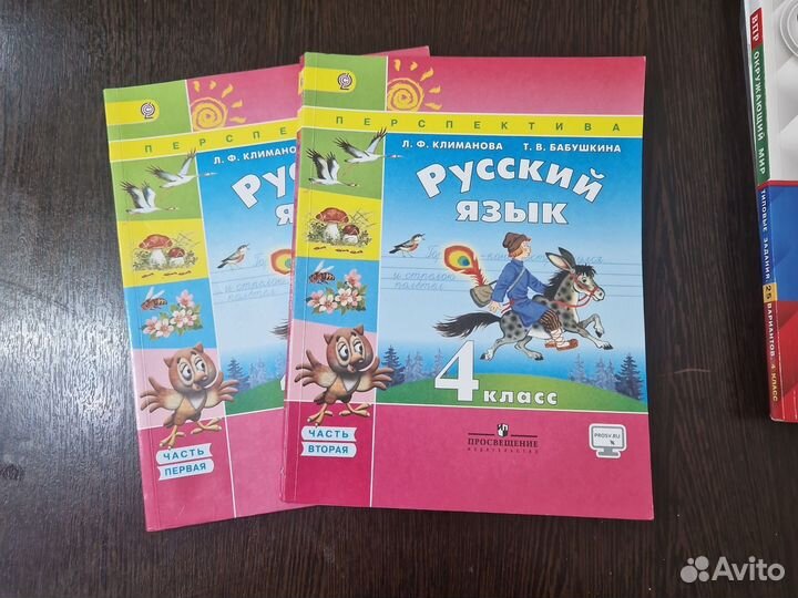 Русский язык 4 класс ч 1,2 учебник/Дорофеев