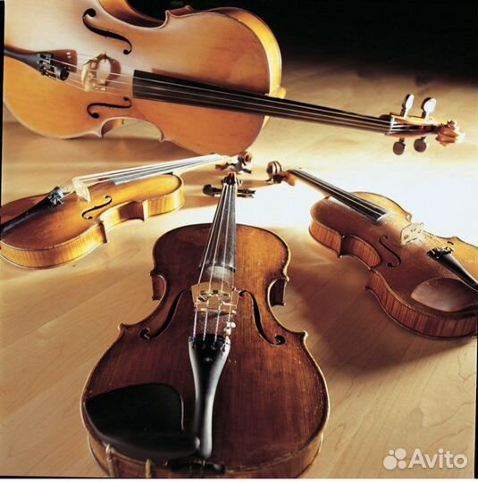 Струнный квартет на мероприятия