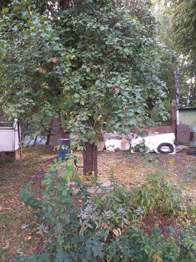 Дача 96 м² на участке 7,5 сот.