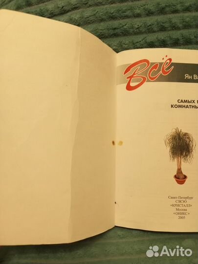 Все о комнатных растениях