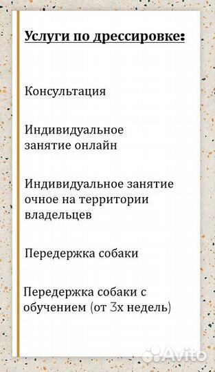 Дрессировка собак Орск