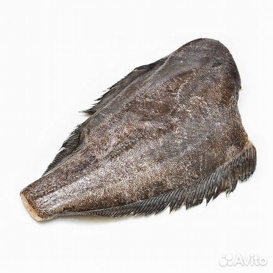 Форель,палтус,кижуч,лосось,сибас,дорадо (рыба,море