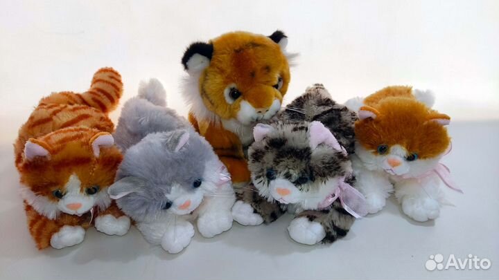 Котёнок мяукает