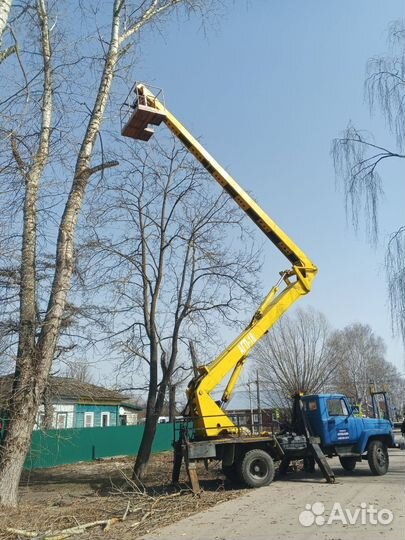 Спил деревьев