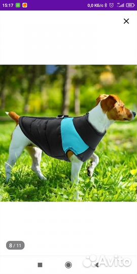 Жилетка для собак
