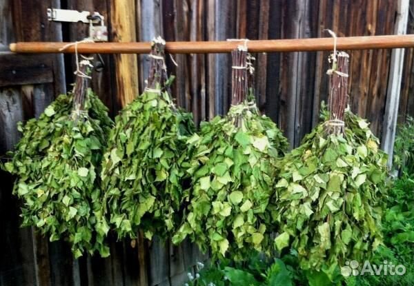 Веники для бани берёзовый