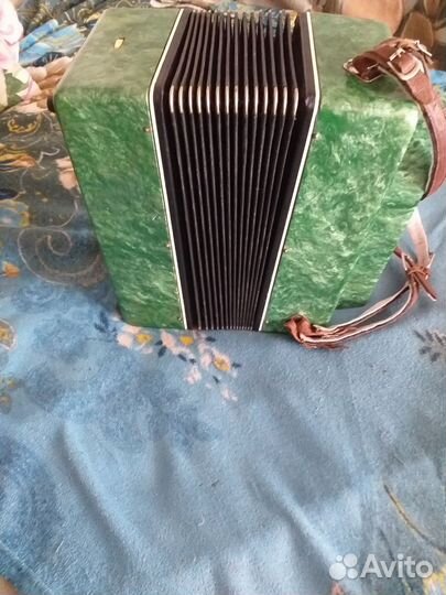 Баян Вологодский