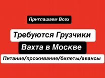 Грузчик. Вахта в Москве. Билет\жилье