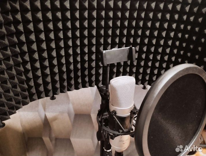 Микрофо Tascam Tm-80