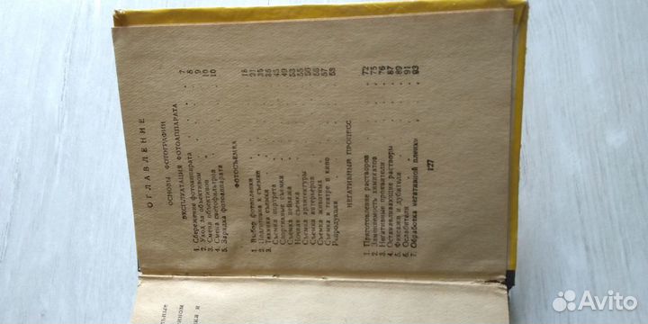 Фотография