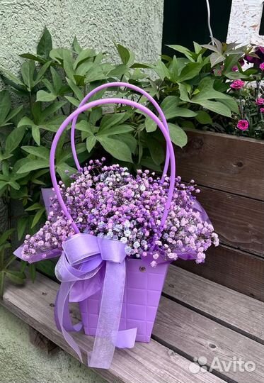 Гипсофила в коробке