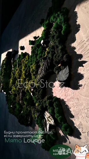 Карта мира со мхом в кафе