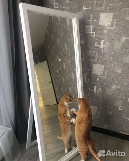 Ширма, зеркало на заказ