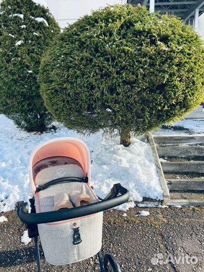 Коляска Jane Muum 2 в 1