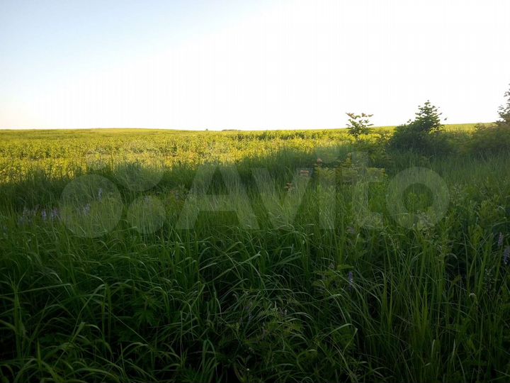 Участок 14 га (СНТ, ДНП)