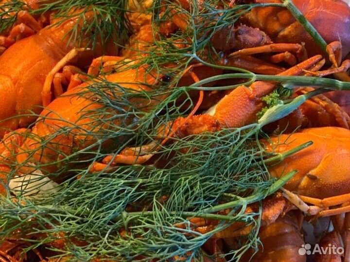 Живые и варенные раки