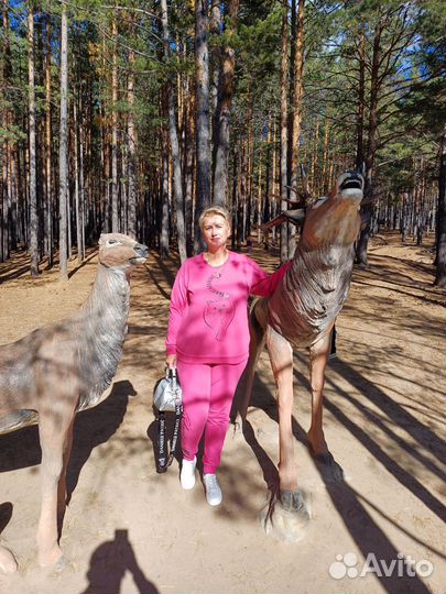 Спортивный костюм женский 54 размер