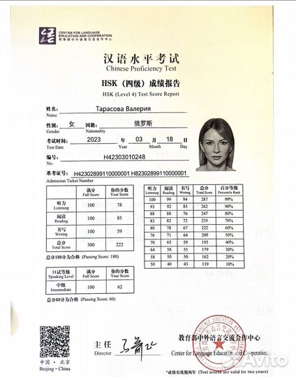 Переводчик китайского языка