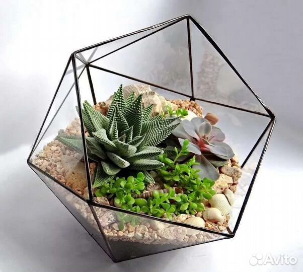 Ваза для флорариума