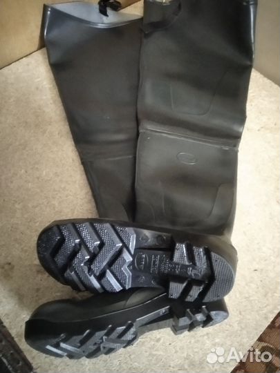 Забродники рыбацкие толстые