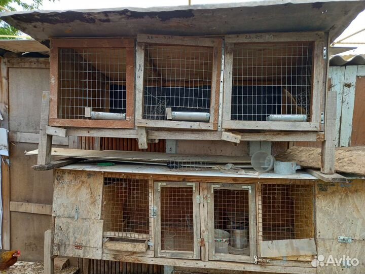 Клетка для кролика