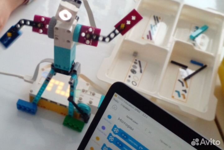 Репетитор по программированию и робототехники