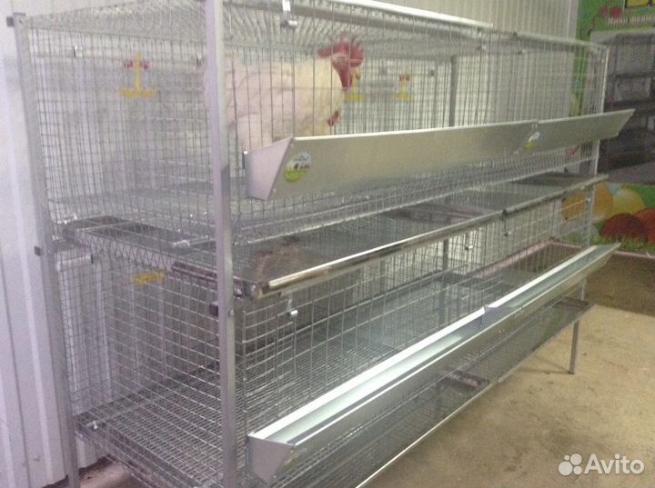 Клетка для кур на 60 голов