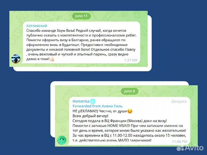 Виза США через бот